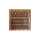 Endangered Species in 5-D Stereograms