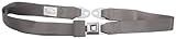 Allstar Performance ALL98111 Gray Two-Point Non-Retractable Seat Belt