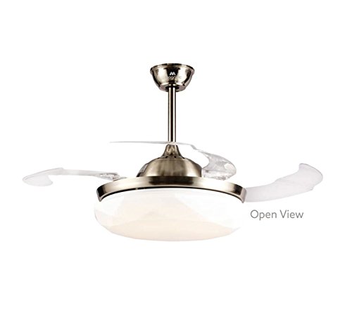 Buy Magnific Rays Ceiling Fan Online At Low Prices In India