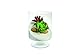 FloraCraft garden, 27.8 OZ, WHITE WITH GLITTER 27 Ounce