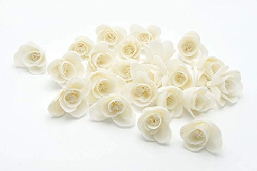 Plawanature Set of 20 Miniature Rose 1" Sola Flower with Reed Diffuser Replacement for Home Fragrance.