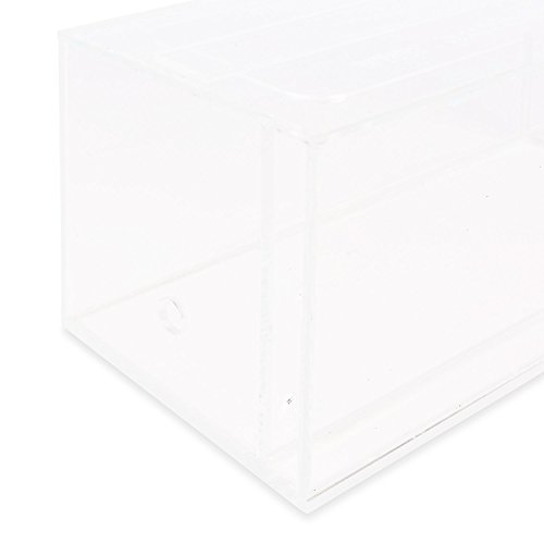 Sand Ant Farm - Educational formicarium for Live Ants