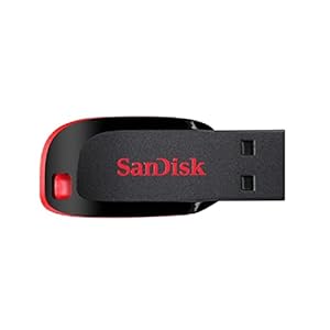 SanDisk Cruzer Blade 32GB USB Flash Drive