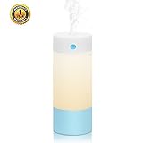 Sbode Humidifier, 250mL Cool Mist Ultrasonic Humidifiers for Babies Bedroom, Night Light Mode, USB Powered and Whisper Quiet for Office Home Car(Blue)