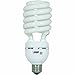Feit Electric - High Lumen (2800) Twist CFL 150W Equivalent Natural Daylight 6500K Light Bulb (ESL40TN/D)