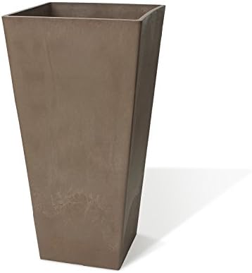 Algreen17835 Valencia Square, 13.75 by 23.5-Inch, Taupe