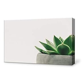 Canvas Wall Art Natural Plant Office Canvas Painting Wall Poster Decor for Living Room Framed Home Decorations - 12x18 inches