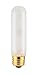 15 Watt T10 Tubular Incandescent Light Bulb / Medium Base / Frosted