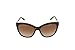Bvlgari BV8158 504/13 Dark Havana BV8158 Cats Eyes Sunglasses Lens Category 2 S