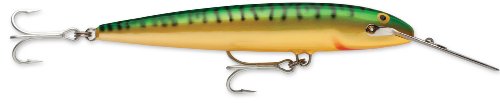 Rapala Countdown Magnum 22 Fishing lure, 9-Inch, Green Mackerel