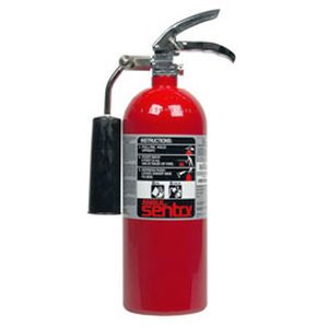 Cd10A-10Lb Co2 W/Alum Shel