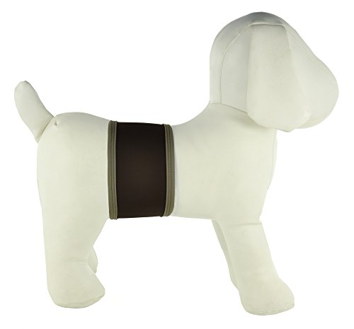 PlayaPup Male Dog Belly Band, Dark Brown, XX-Small