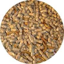 Exotic Island Pets Hedgehog Complete Food 10lb Bag