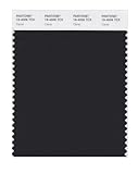 PANTONE SMART 19-4006X Color Swatch Card, Caviar