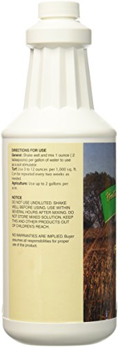Medina Medium Molasses, 1 quart