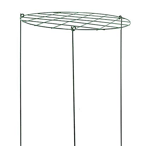 cozyou 2-Pack Grow Through Hoops Plant Support, 11.8" Wide x 18" High, 3 Legs