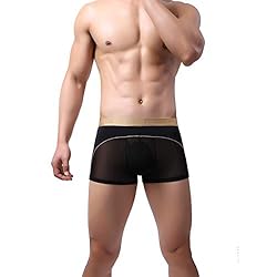 Laxier 2 Pack of Men Boxer Briefs Transparent