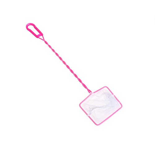 送料関税無料 水槽 カミハタ 水槽 B007o59p1y キャビネットなし 50hz 海道システム 驚きの値段で Www Aiq Aiq Com Mx