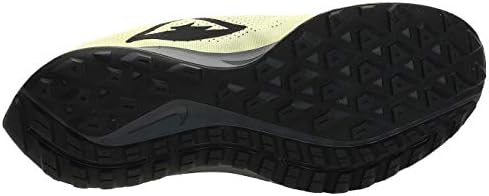 pegasus 36 lançamento