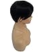 Ricawig Black Short Straight Hair Wig Heat Resistant Fiber Synthetic Full Wigs