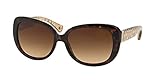 Coach 0HC8076 Sun Full Rim Square Womens Sunglasses