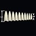 VIVACE Natural Stiletto 500pcs Artificial Fake Nail Tips 10 Sizes For Nail Salon Nail Shop