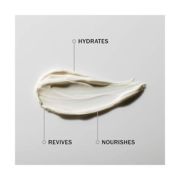 Vanilla-Pod-Hydrating-Day-Cream--Anti-Aging-Face-Moisturiser-For-Dry-Skin--with-Rosehip-Oil-Avocado-Oil-Antioxidant-Skincare-Ingredients--Dry-Skin-Normal-Skin--60ml Antipodes Vanilla Pod Hydrating Day Cream 60ml