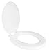 Ginsey Home Solutions Chocolate Elongated Soft Cushioned Toilet Seat