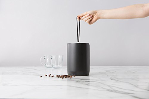 Chef'n 110-979-357 Ceramic Coffee Canister, Anthracite