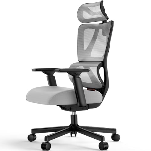 ProtoArc EC100 Ergonomic Office Chair - Desk Chair with 10cm Spring Cushion, Lumbar Support, Adjustable Arms and Headrests, Mesh Swivel Chair for Home and Office, Grey