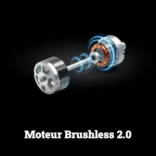 Souffleur Brushless sans Fil 20V WG543E.9