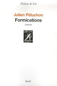 Book's Cover ofFormications