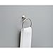 Delta Windemere (1-Pack) Hand Towel Holder SpotShield Brushed Nickel Towel Racks for Bathroom Wall Round Towel Ring Holder for Bath Towel Hanger for Kitchen, Bathroom Accessories 79646-BN