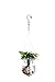 NICO SEE WONDER 10pcs Swivel S Hooks Clips, Hanging Wind Spinners for Chimes Crystal Twisters, Windsocks and Any Plants, Party Supply, 3 Inch
