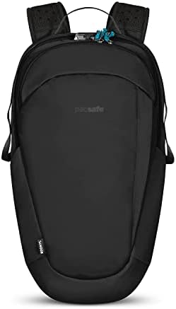 Amazon.com | Pacsafe Metrosafe X Anti Theft 20L Backpack - with