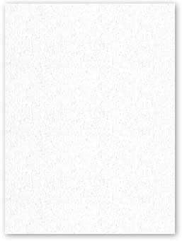 Neenah CLASSIC CREST 8.5 x 11 Cardstock Paper - Whitestone - 110lb Cover - 250 PK