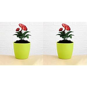 LEAWALL Flower Pots Round Shape for Indoor/Outdoor Gardening(2 PCS)