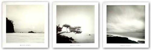Shoreline - Sunset - Two Branched Pine Set by Rolfe Horn Art Print Poster