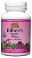 Bilberry Extract (40mg)