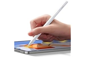 Stylus Pen for iPad (2018 & Later), 4 LED Indicator, 2 Nibs, Perfect for Drawing & Notetaking