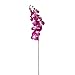 Ximkee 1 x Artificial Butterfly Orchid Flower Plant Home Decor Fuchsia (1pcs, Fuschia)