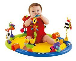 fisher price 3 in 1 gym
