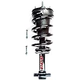 FCS 1345555Complete Strut Assembly, Black
