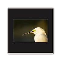 Framed Canvas Wall Art A Bird Standing on Canvas Prints Home Artwork Decoration for Living Room,Bedroom - 16x16 inches