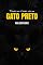 Livro Todas As Vidas De Um Gato Preto