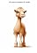 Livro As curiosas corcovas do camelo: Por que os camelos têm corcovas?: Explorando a fascinante adaptação dos animais do deserto