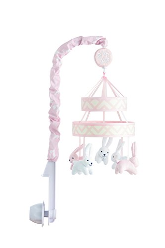 ivanka trump stargazer collection