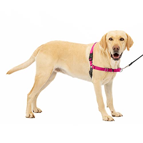 PetSafe Easy Walk No-Pull Dog Harness - The Ultimate Harness to Help Stop Pulling - Take Control & Teach Better Leash Manners - Helps Prevent Pets Pulling on Walks, Large, Raspberry/Gray
