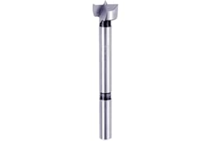 Diablo's High-Speed Steel Forstner Bit Drill Straight, Angled and Overlapping Holes in All Types of Wood - 5/8" Diameter, 5/16" Shank, 3-1/2" Length - FB-004