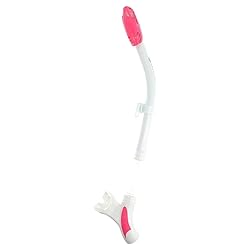 Aqua Lung Impulse Dry Snorkel Designed with Dry